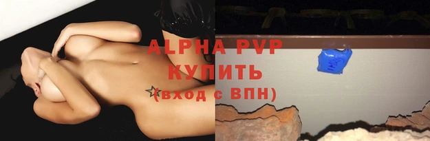 спиды Аркадак