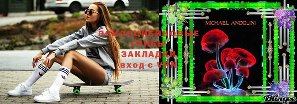 спиды Аркадак